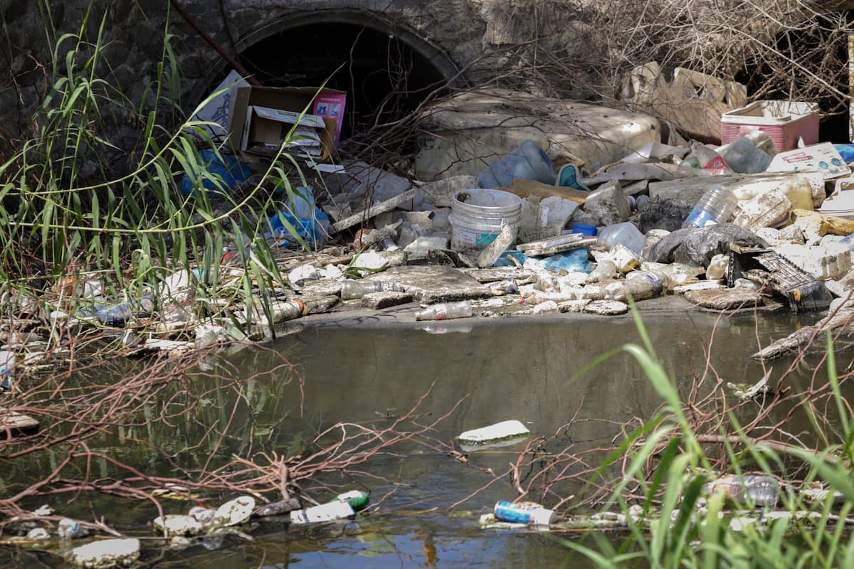 Piden a la ciudadanía no tirar basura en drenes para prevenir proliferación de mosquitos y posibles casos de dengue
