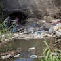 Piden a la ciudadanía no tirar basura en drenes para prevenir proliferación de mosquitos y posibles casos de dengue