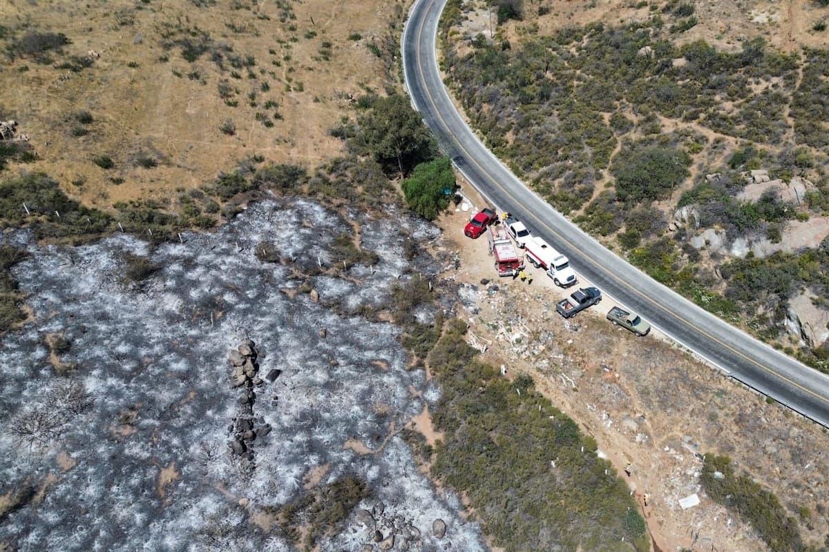 Incendio forestal moviliza a bomberos en carretera a Ojos Negros