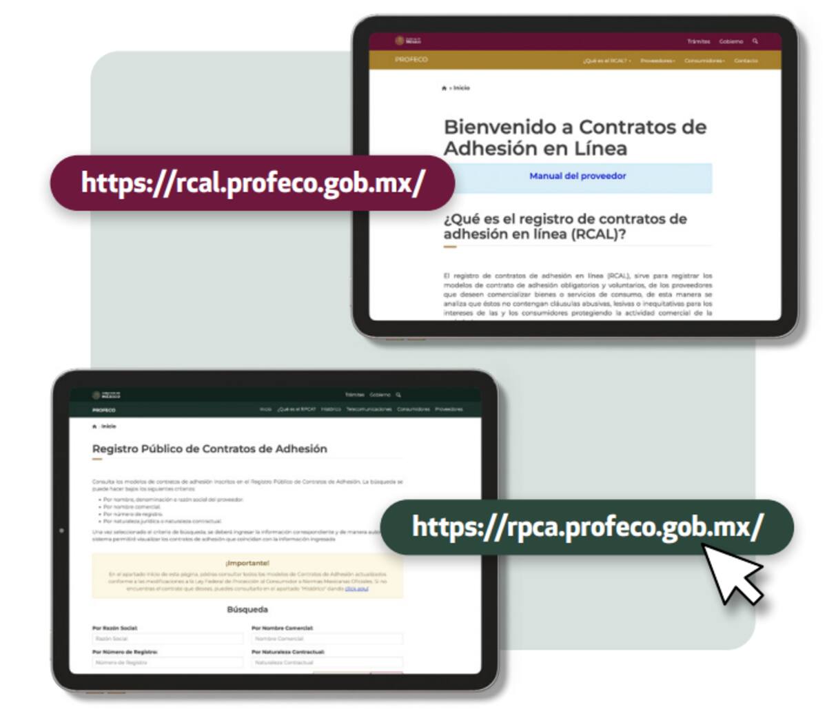 PROFECO-REVISTA DEL CONSUMIDOR