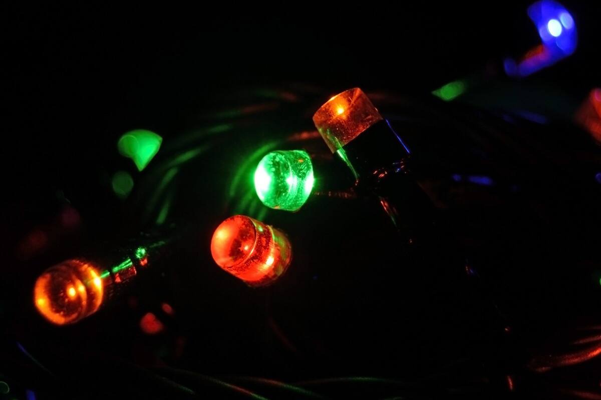 Recomiendan crear un árbol de Navidad sustentable