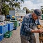Un hombre de 82 años donó 1 millón 200 mil pesos que juntó reciclando envases a un refugio de animales para evitar que sacrificaran a cientos de perros y gatos que fueron abandonados durante la crisis sanitaria