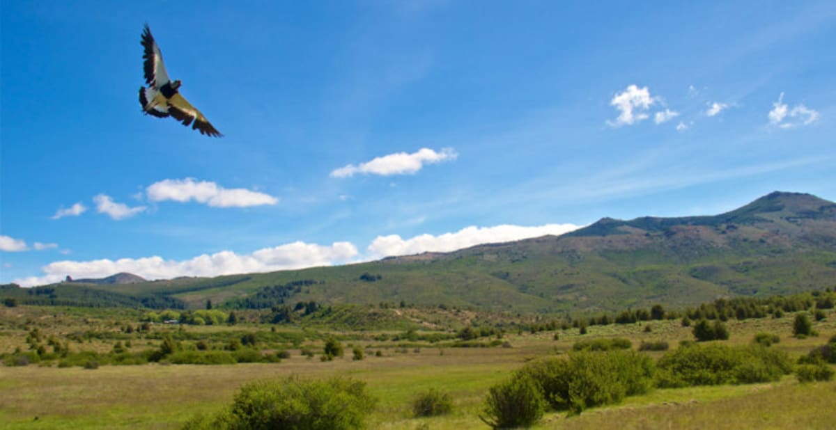 Estepa, Baja California