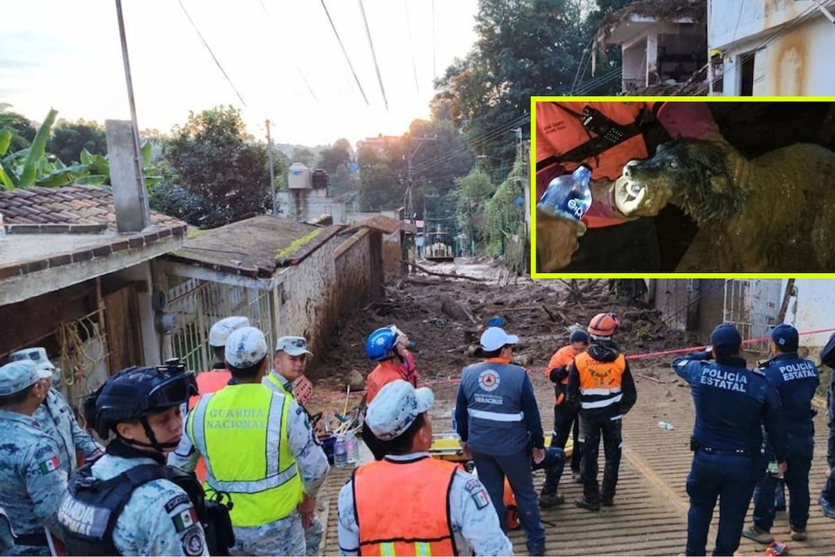 Deslave de cerro en Xalapa, Veracruz, entierra a familia de 7 integrantes y un perrito