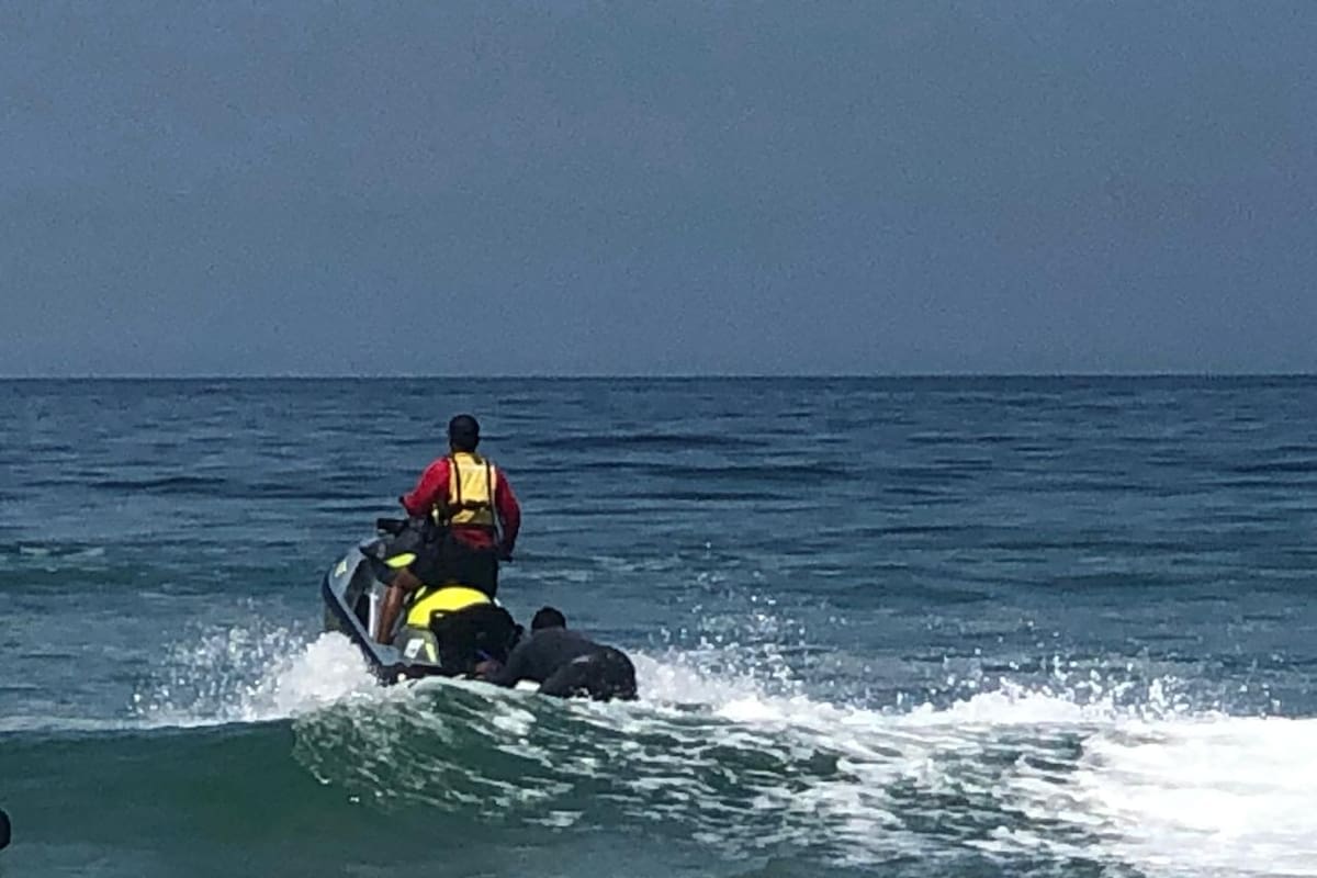 Confirman que imágenes de avistamientos de tiburones en Rosarito son falsas