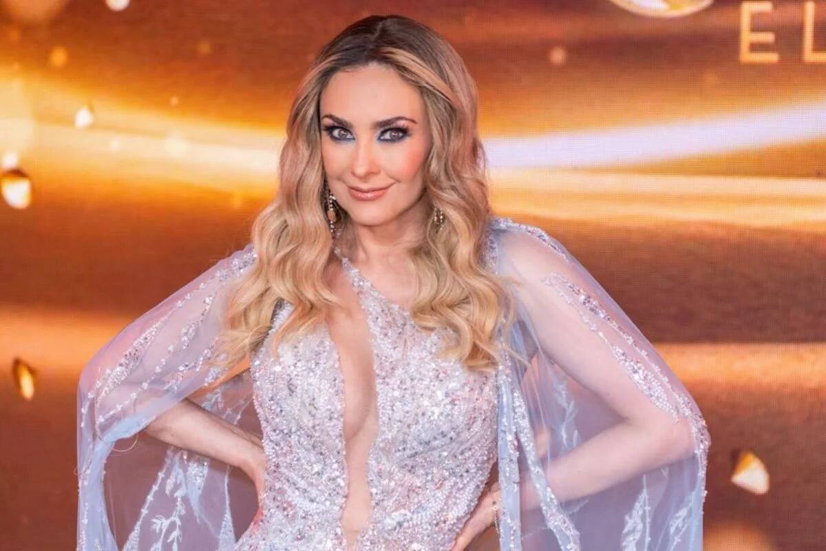 ¿Los hijos de Luis Miguel y Aracely Arámbula harán su debut artístico próximamente? Esto dijo la actriz