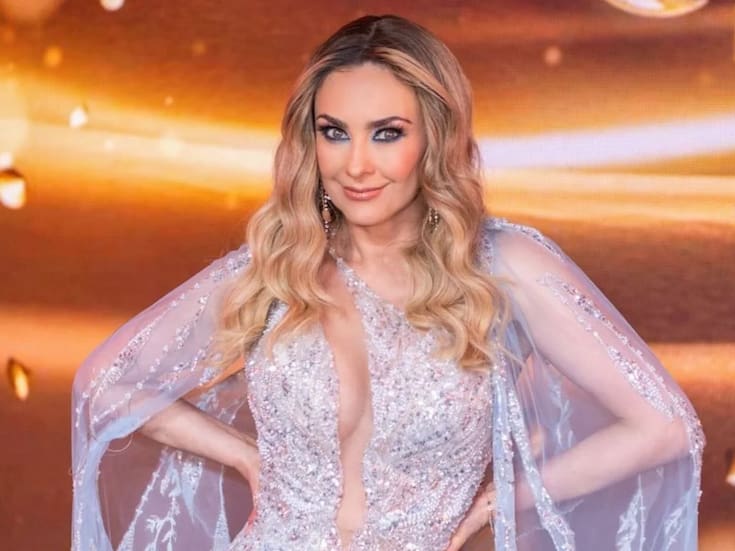 ¿Los hijos de Luis Miguel y Aracely Arámbula harán su debut artístico próximamente? Esto dijo la actriz