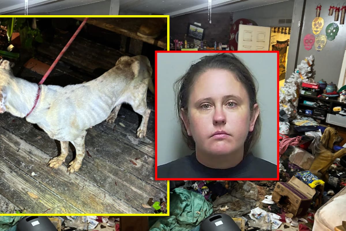 Mamá se fue por dos semanas a Las Vegas, dejando solos a su hijo adolescente y a los perros desnutridos, en una casa asquerosa “llena de heces” e insectos; la arrestaron por negligencia y maltrato
