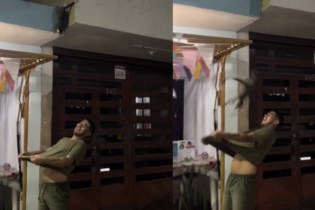 TikTok: este fue el angustiante momento que vivió este joven que salvó a su gatito de una caída