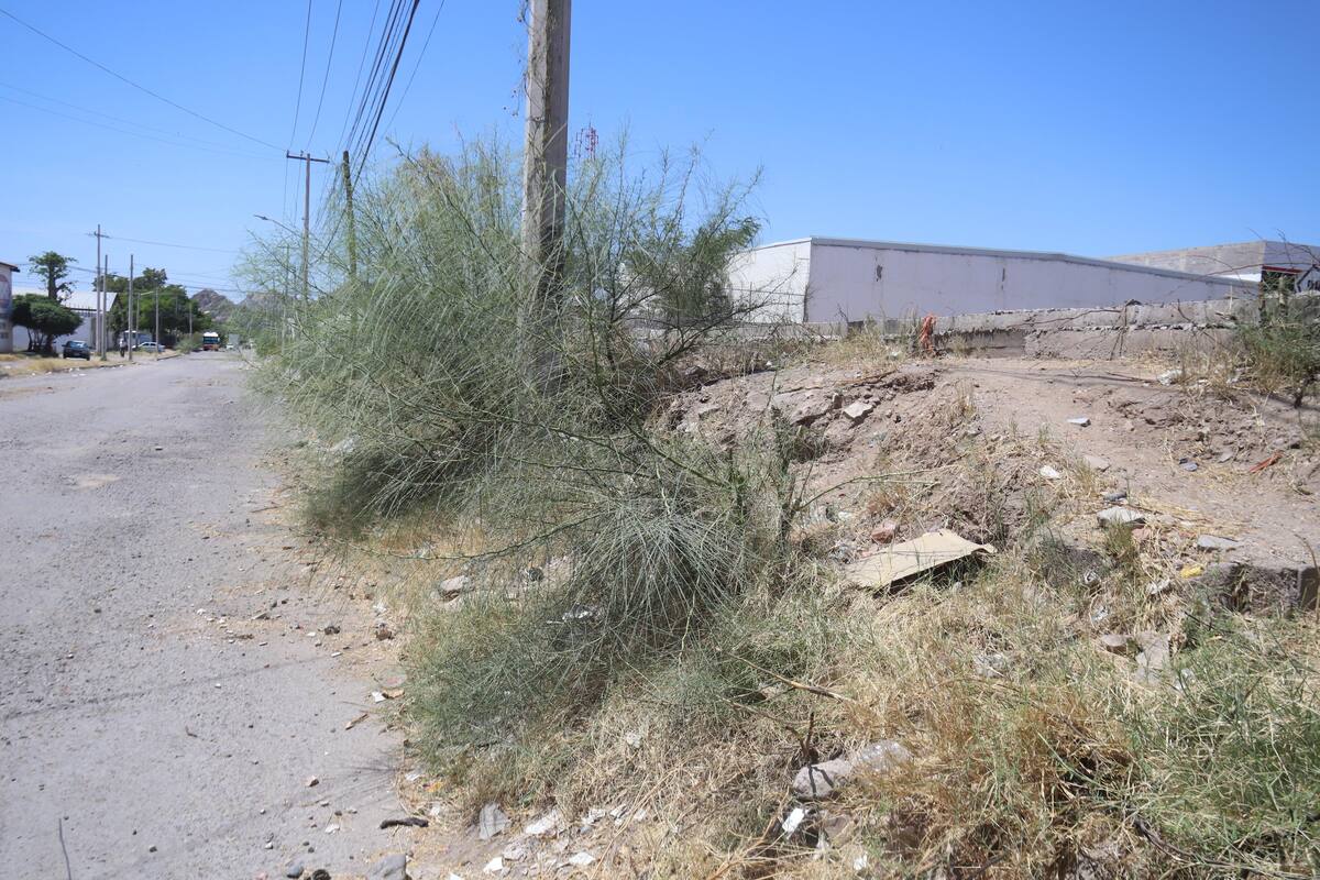 "Estamos aterrados, realmente ": Vecinos de la Ferrocarrilera