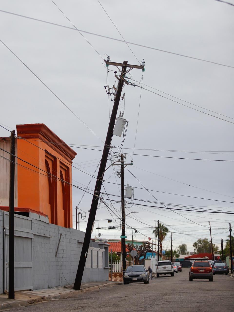 Foto: Juan J. Morales.