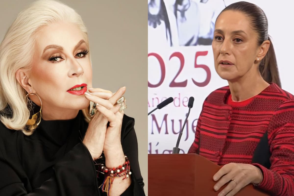 Las consecuencias legales que podría enfrentar Laura Zapata por comentario despectivo a Claudia Sheinbaum
