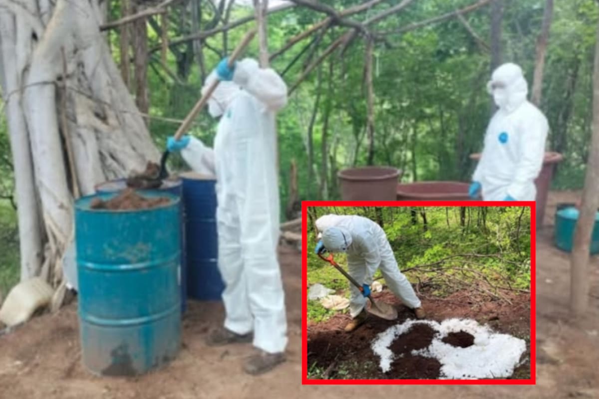 Aseguran y destruyen en Sinaloa cuatro centros usados para fabricar drogas sintéticas: cianuro, acetona y más en la lista