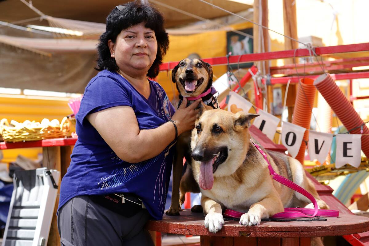Celebran en Día del Perro
