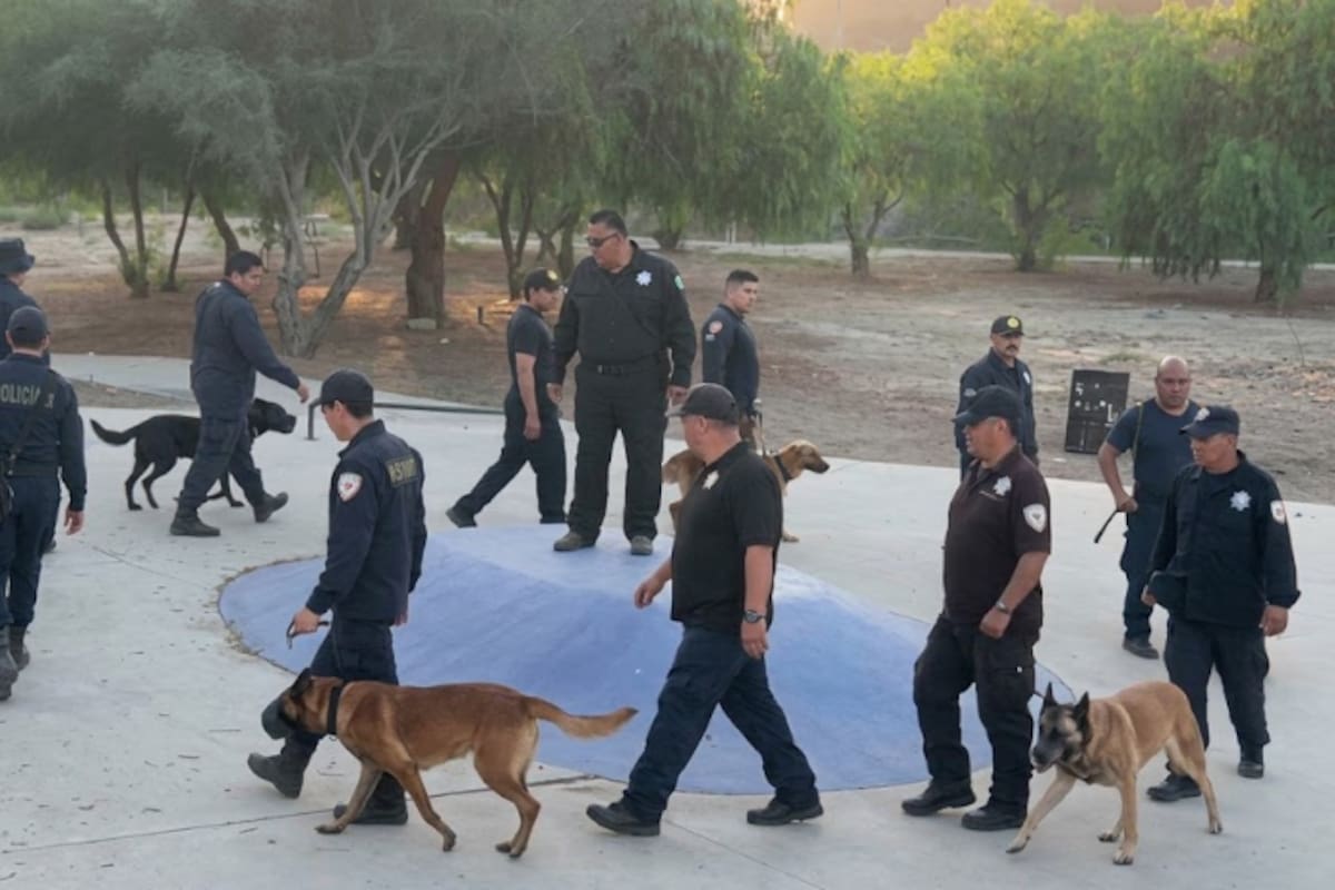 Capacitan en Tijuana a agentes penitenciarios para operar unidades K9
