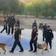 Capacitan en Tijuana a agentes penitenciarios para operar unidades K9