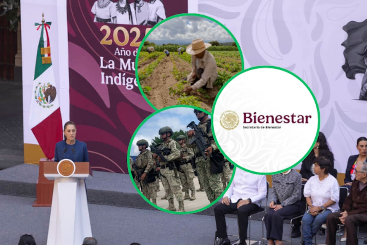 Plan Michoacán por la Paz y la Justicia: ¿Cómo se desplegarán los 57 mil millones de pesos y más de 12,000 efectivos?