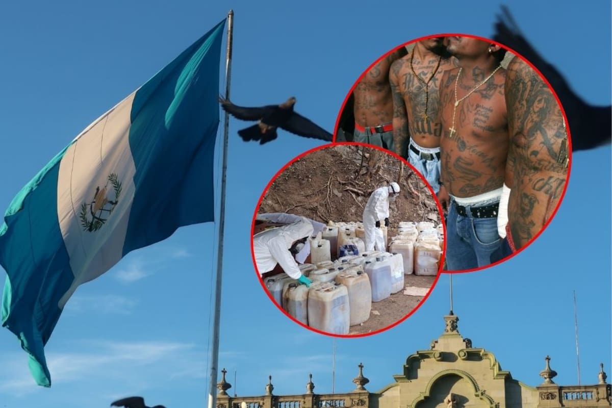 Cártel de Sinaloa controla laboratorios de drogas sintéticas en Guatemala con apoyo de grupos criminales locales: PNC
