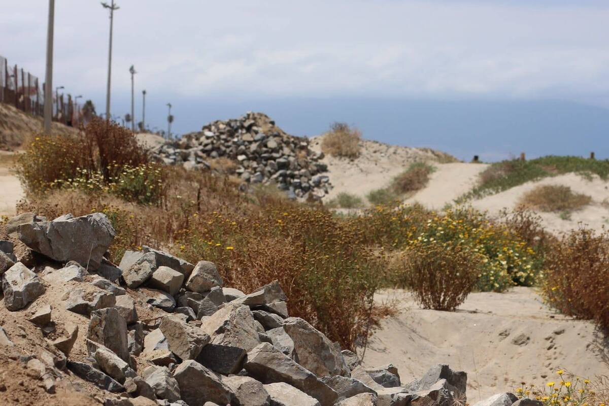 Piden reponer dunas en Playa de Ensenada