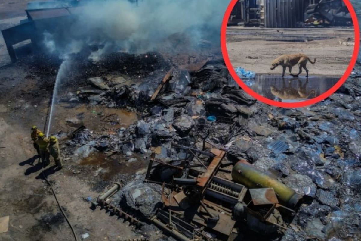Incendio consume recicladora y provoca cierre de la carretera a San Felipe