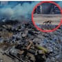 Incendio consume recicladora y provoca cierre de la carretera a San Felipe