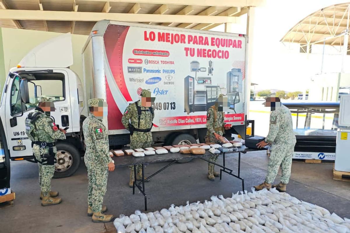 Asegura Ejército Mexicano más de 300 kilos de droga oculta en Querobabi, Sonora
