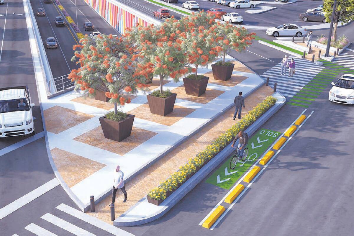 Contará paso a desnivel de Colosio y Solidaridad con forestación de especies nativas de la región