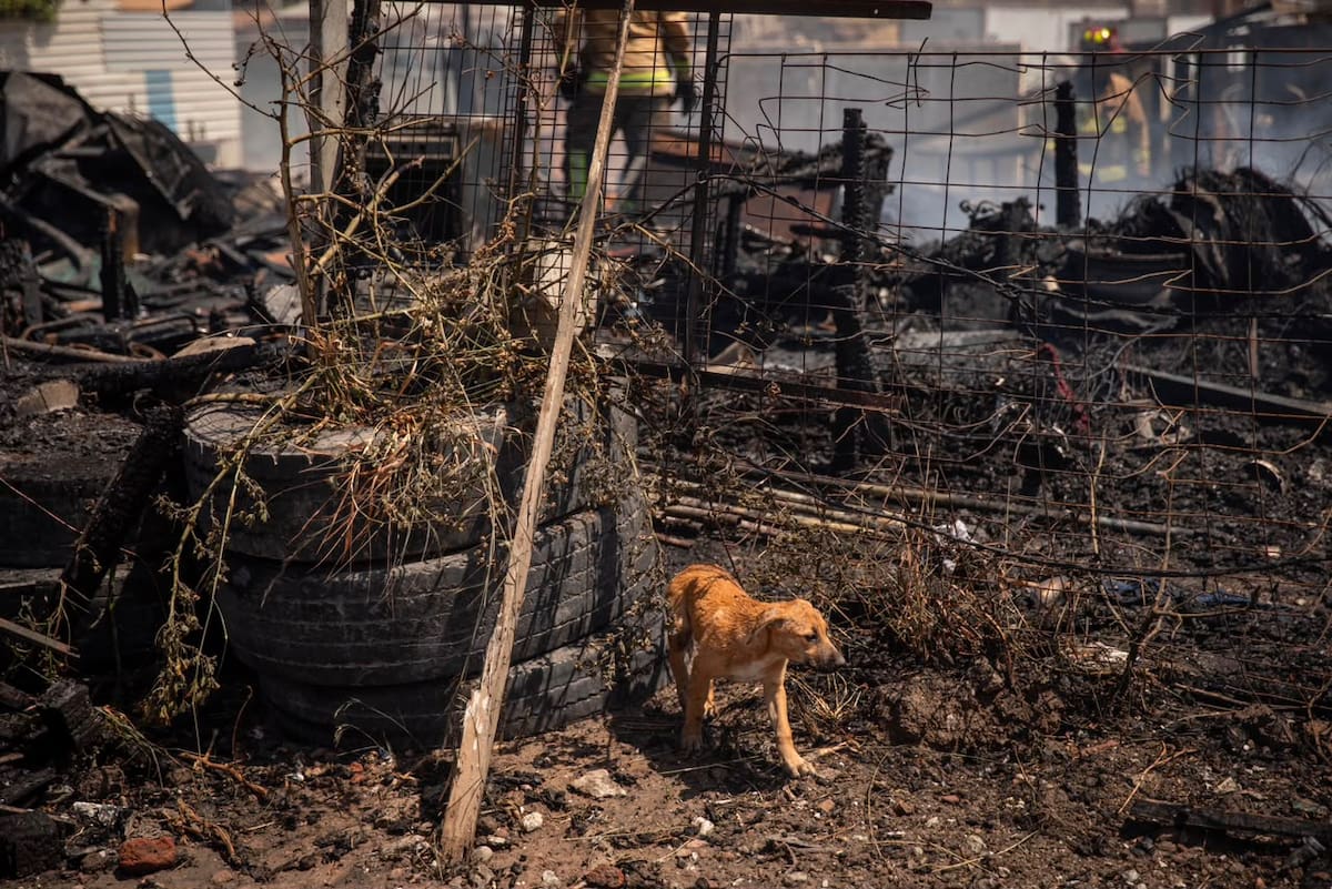 El incendio ocurrió en un predio de la colonia Lomas de Matamoros. No hubo personas lesionadas y las causas del siniestro aún son investigadas.
Fotos: Border Zoom.