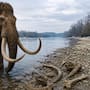 El río Danubio sigue revelando misterios ocultos a medida que bajan sus niveles de agua: Esta vez encontraron huesos de mamut