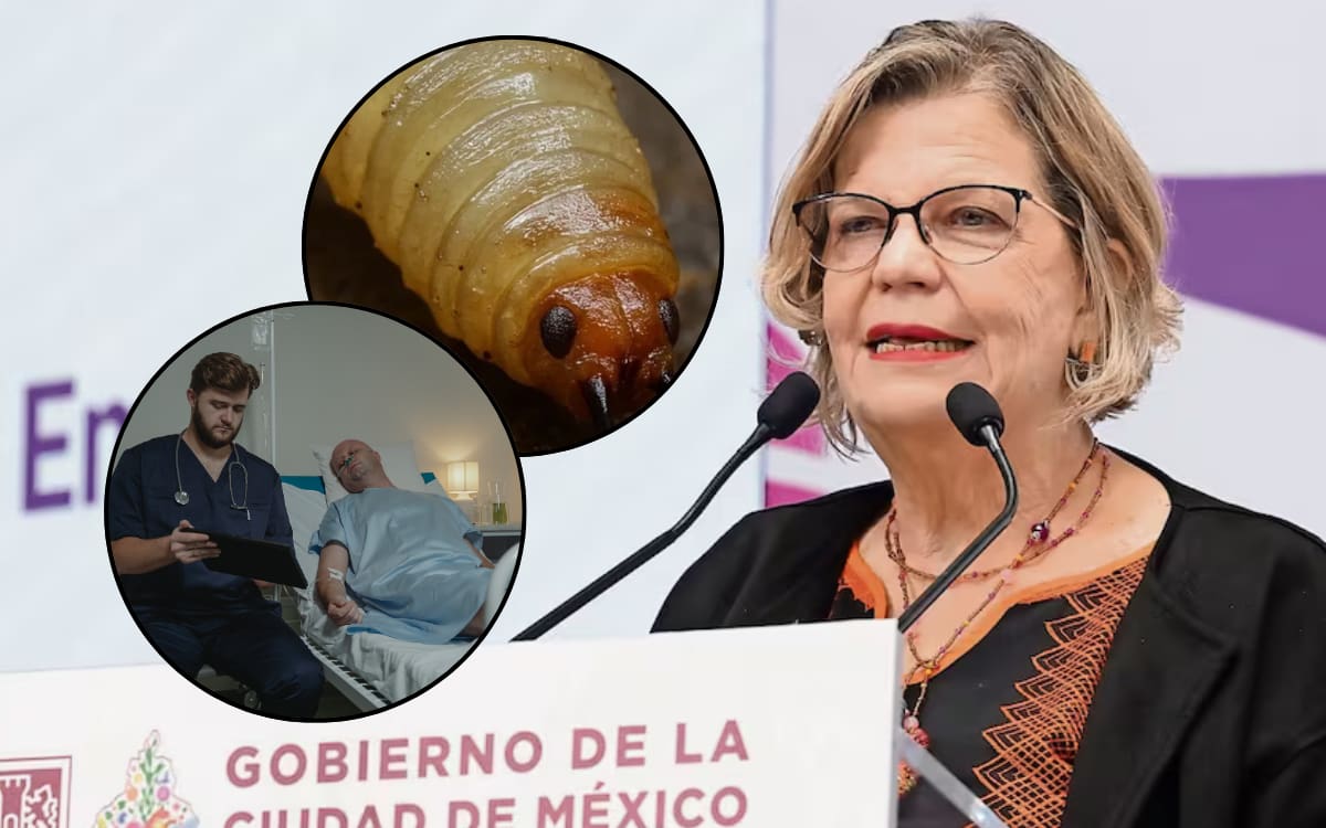 Gusano barrenador llega a hospitales de CDMX: detectan casos en humanos y piden atención inmediata a heridas. Foto: El Universal, Canvas