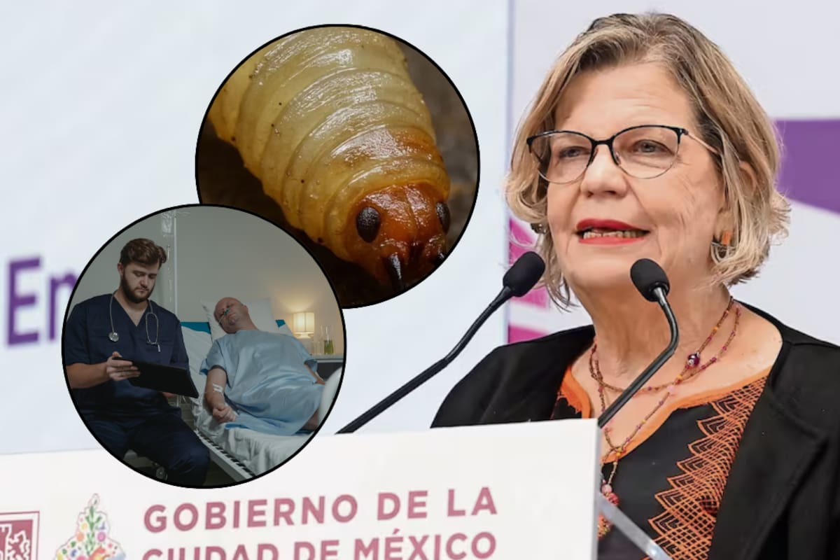 Detectan 3 casos de gusano barrenador en humanos atendidos en CDMX; autoridades lanzan alerta por heridas mal cuidadas