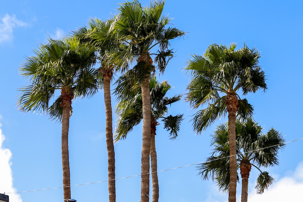 Suben ligeramente las temperaturas para este fin de semana