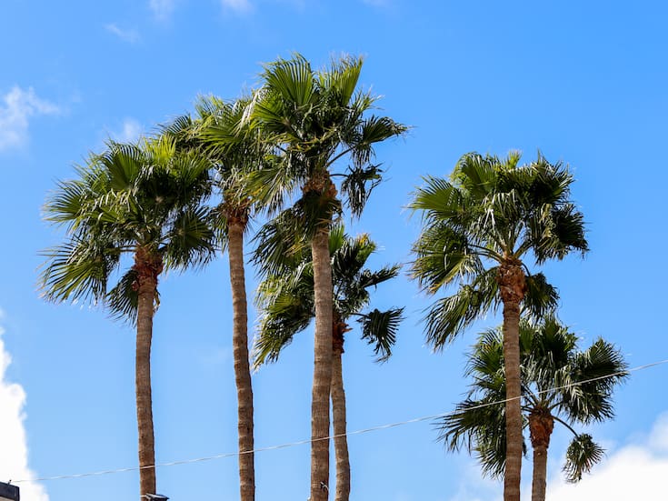 Suben ligeramente las temperaturas para este fin de semana