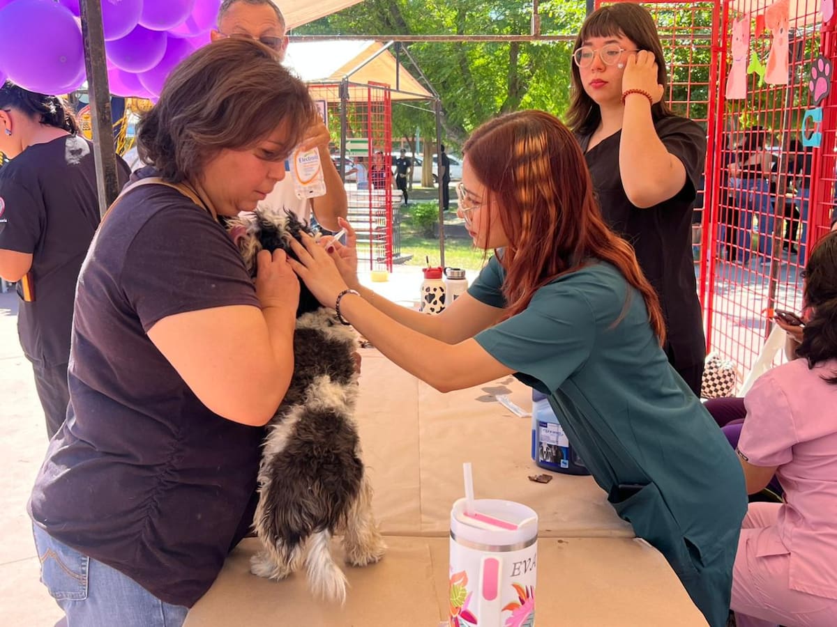 La Universidad de Sonora llevó a cabo la Feria de la Salud 2025-2 en la Plaza del Estudiante.