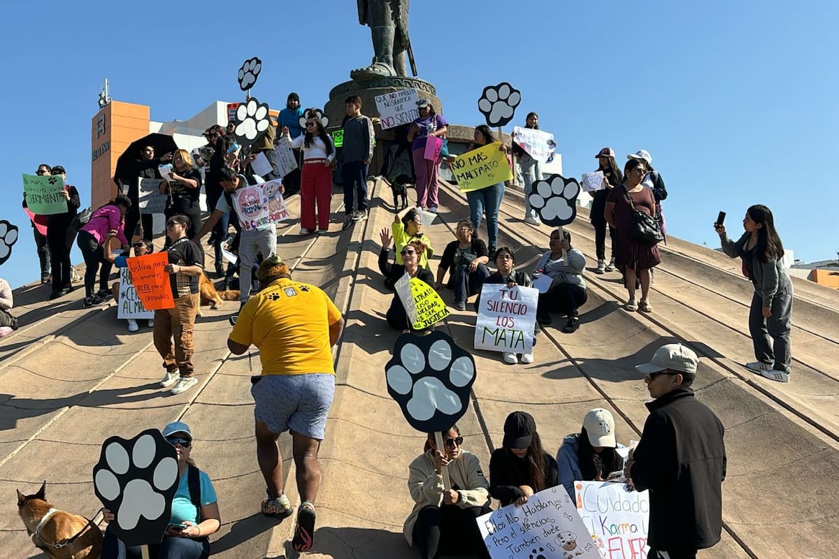 Se manifiestan contra el maltrato animal