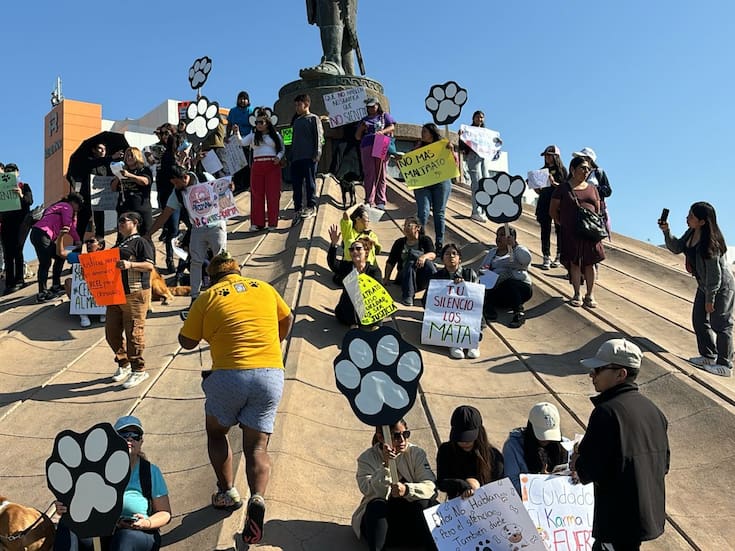 Marchan contra el maltrato animal