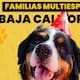 Jueza reconoce familia multiespecie en caso de Ámbar