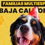Jueza federal reconoce familia multiespecie en caso de Ámbar en Baja California