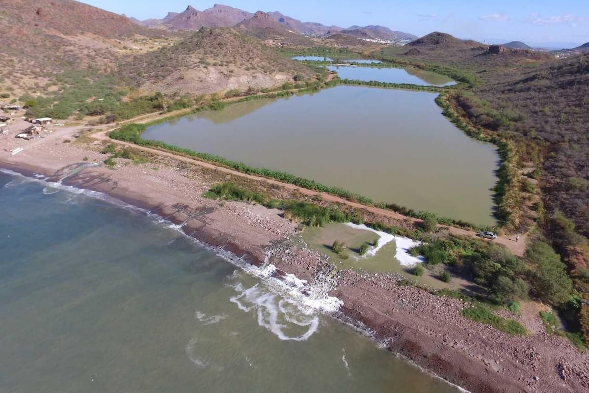 Bahía de Guaymas tiene cinco fuentes de contaminación