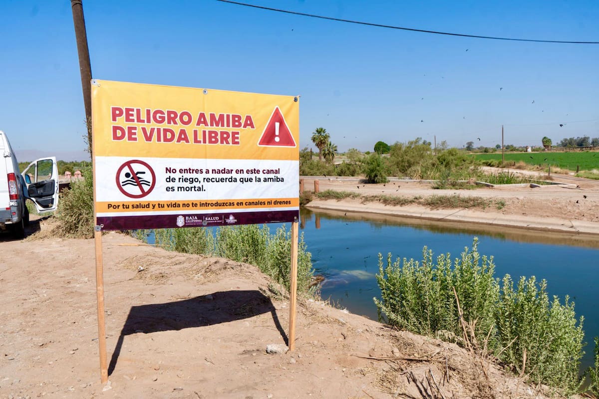 Realizan operativo para prevenir daños por amiba libre y recomiendan no nadar en canales, pozos o drenes
