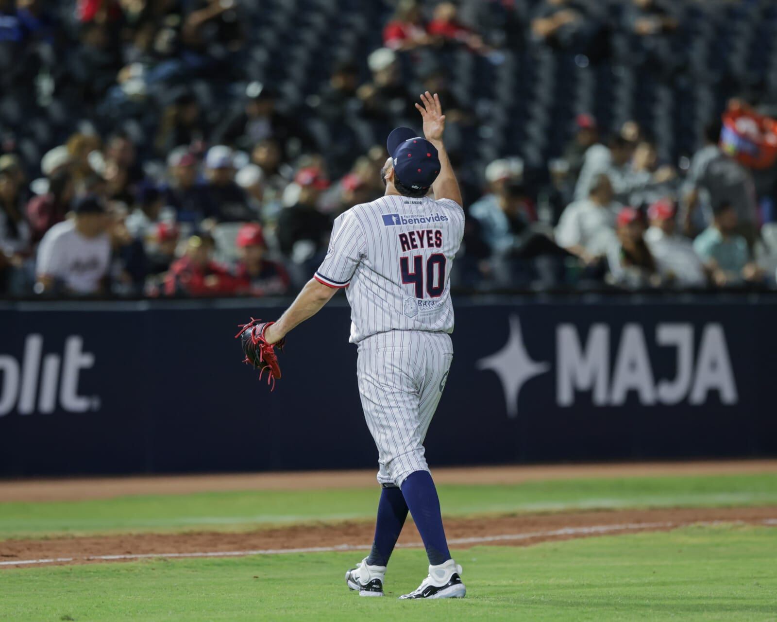 Foto: Javier Gallegos.