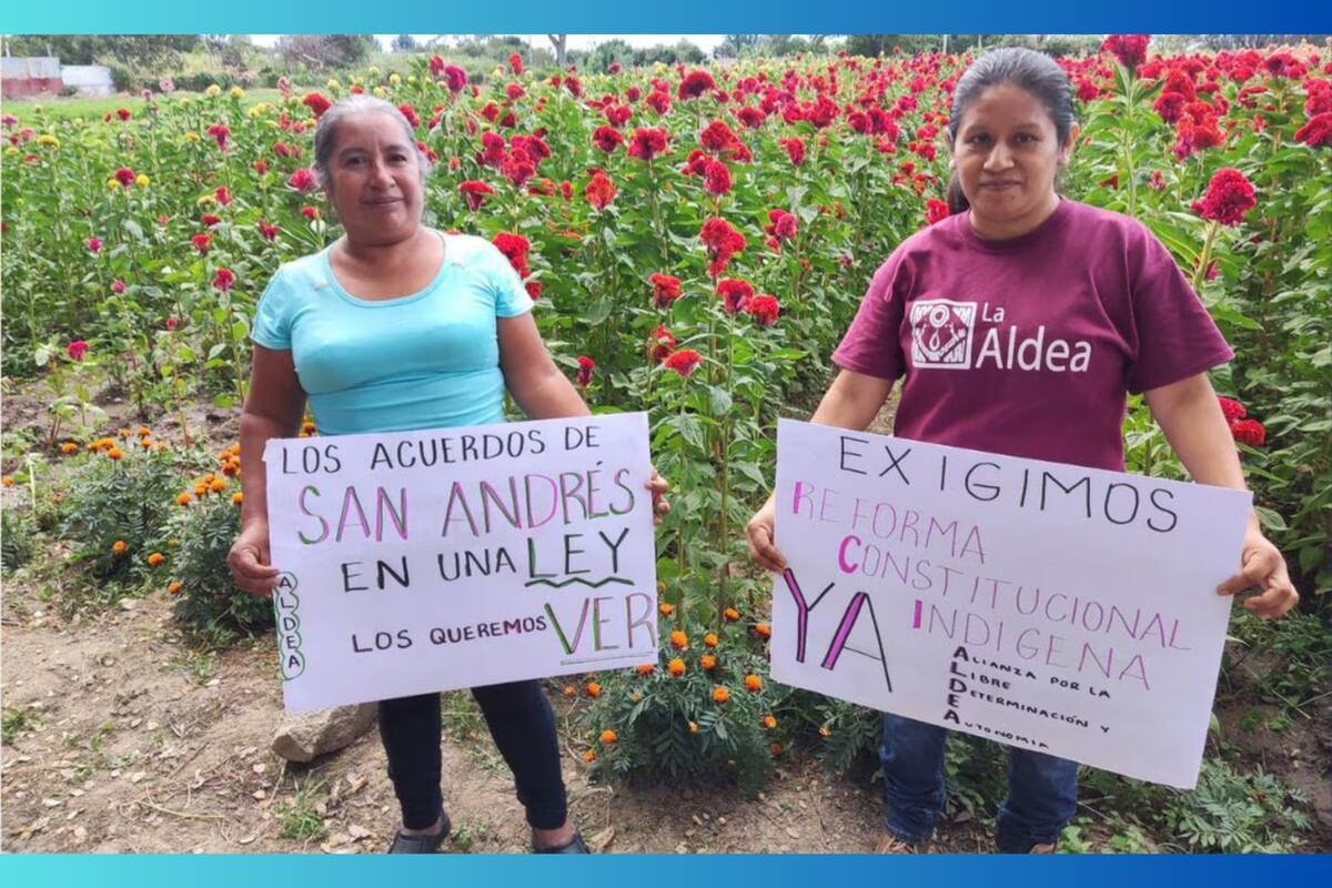 La Alianza por la Libre Determinación y la Autonomía pide a AMLO inclusión de reformas para pueblos indígenas y afrodescendientes