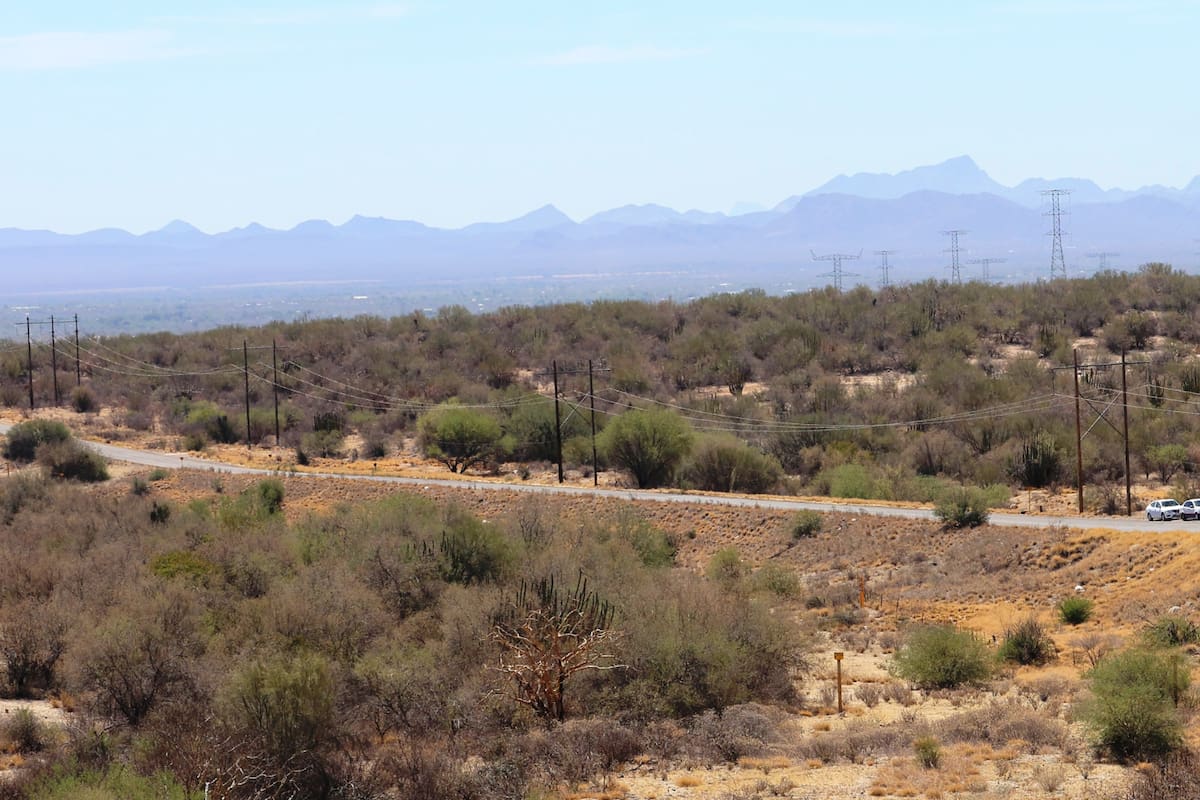 Localizan a mujer desaparecida tras un mes; deambulaba desorientada por carretera en Hermosillo