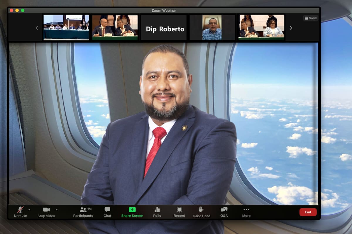 Solito se expuso: Diputado atiende sesión de la Cámara desde un avión y piden “el que va para Europa, que apague el micrófono” (VIDEO)
