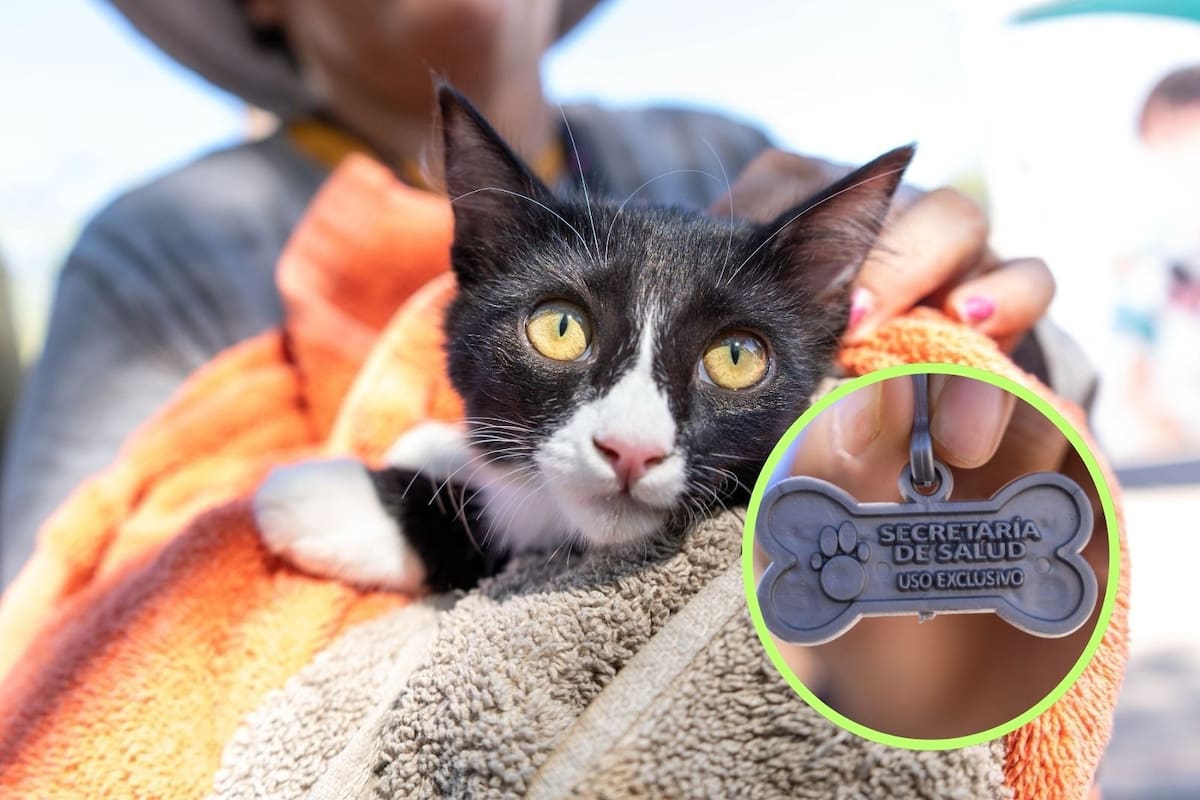 Vacunan a más de 67 mil mascotas en BC durante el primer trimestre