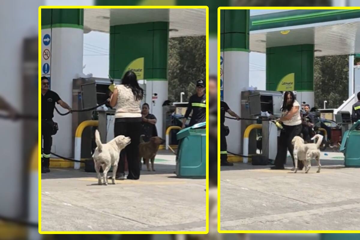 VIDEO: Mujer “enloquece” en gasolinera de Edomex y amenaza de muerte a trabajadores: “¡Los voy a destruir!”