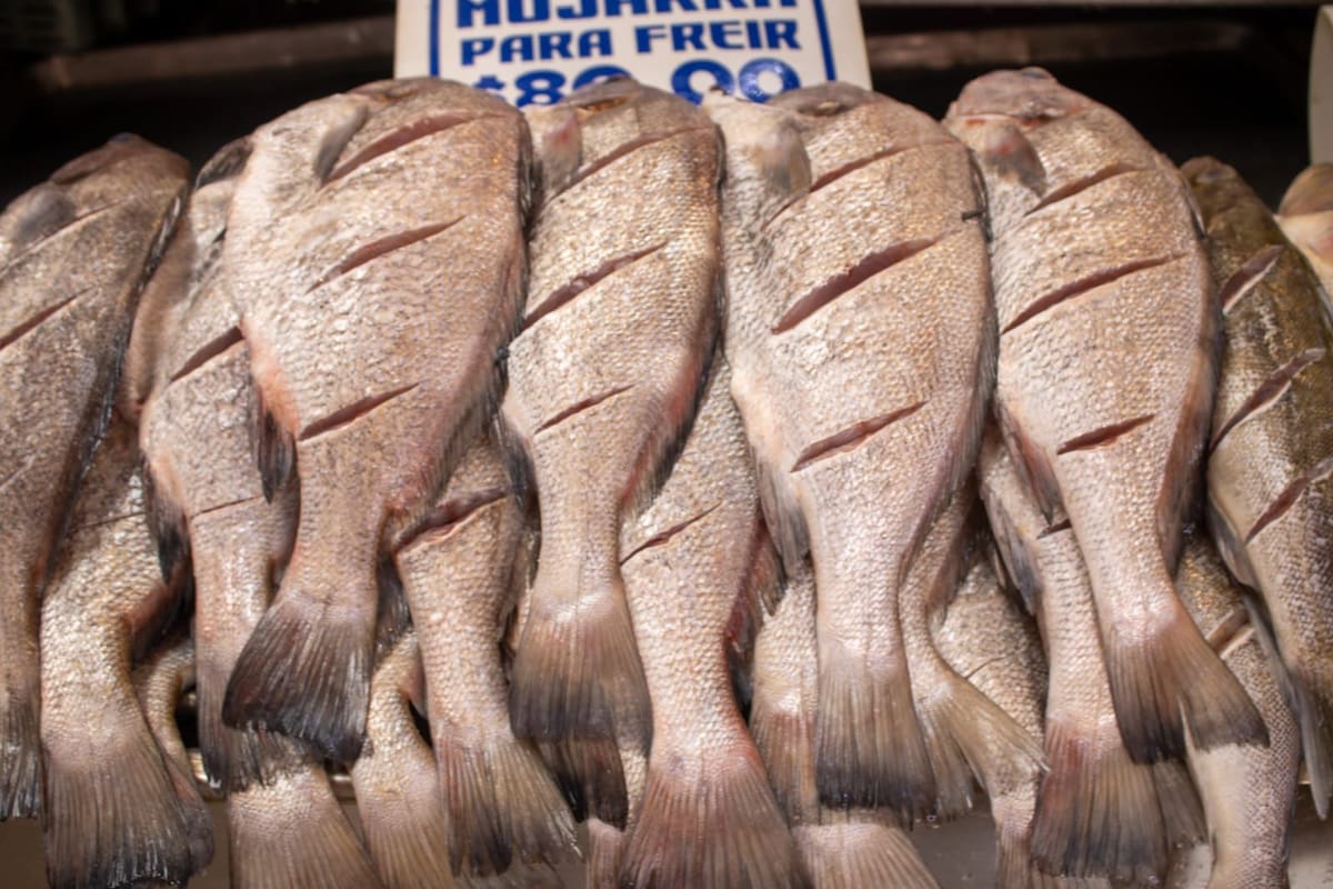 Cómo saber si el pescado que compras esta Semana Santa es fresco y seguro para comer