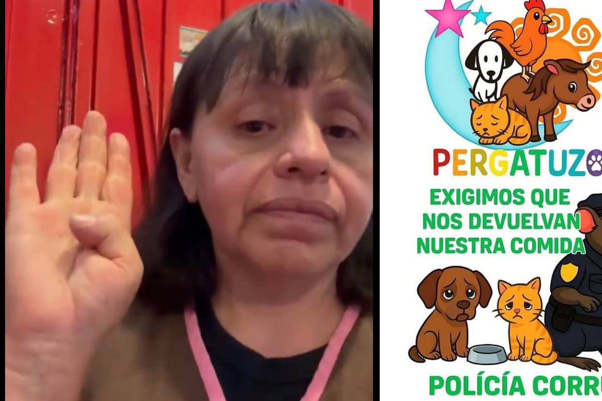 Dueña de albergue de animales en CDMX denuncia acoso de la policía y cobro de piso por el CJNG; le piden 50 mil pesos y hace un VIDEO con la señal de ayuda