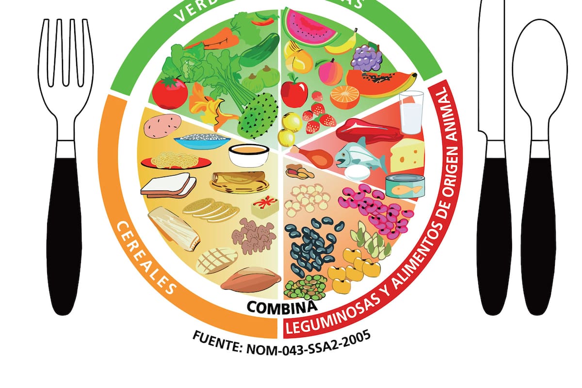 Esto es lo que debes saber del Plato del buen comer