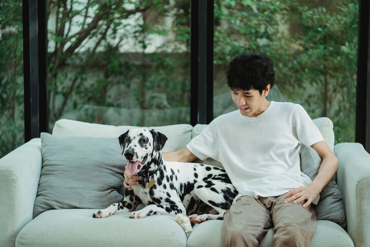 Experto en adiestramiento canino advierte que humanizar demasiado a los perros puede aumentar su dependencia emocional, provocar ansiedad por separación y dificultar la convivencia